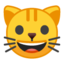 Cat Face Emoji (Google)