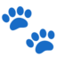 Paw Prints Emoji (Google)