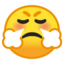 Face With Steam From Nose Emoji (Google)