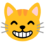 grijnzend kattengezicht met lachende ogen Emoji (Google)