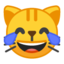 Cat Face With Tears Of Joy Emoji (Google)
