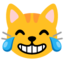 tête de chat qui pleure de joie Emoji (Google)