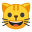 Grinning Cat Face Emoji (Google)