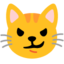 kattansikte med snett leende Emoji (Google)