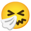 niezend gezicht Emoji (Google)