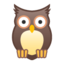 Owl Emoji (Google)