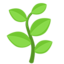 plantă aromatică Emoji (Messenger)