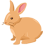 lapin Emoji (Messenger)