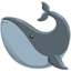 Whale Emoji (Messenger)