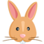 Rabbit Face Emoji (Messenger)