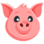 tête de cochon Emoji (Messenger)