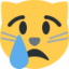 Crying Cat Face Emoji (Twitter, TweetDeck)
