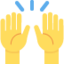 Raising Hands Emoji (Twitter, TweetDeck)